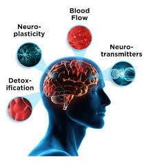 Scientific mechanism showing how NeuroQ Brain Health works