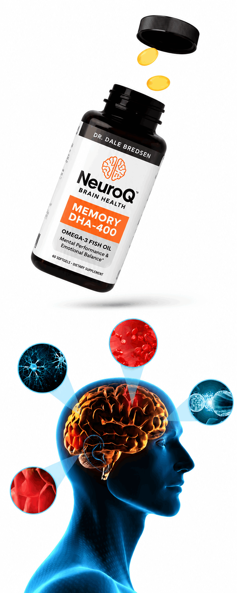 Detailed breakdown of what NeuroQ Brain Health contains and how it helps